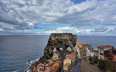 Date: 25 November 2025